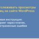 Как отслеживать просмотры страниц сайта WordPress